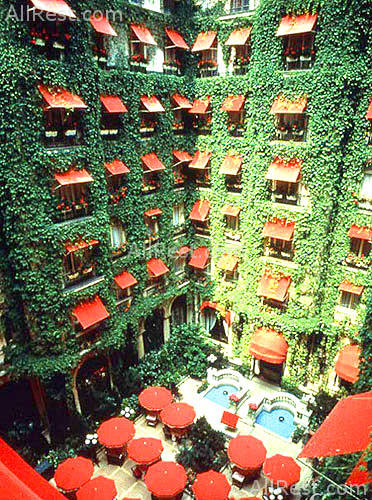 Hotel Plaza Athenee 6